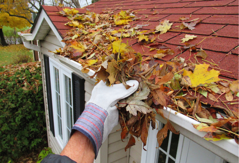 A gloved hand removes fallen autumn leaves from a house's roof gutter to prevent clogs and winter water damage.